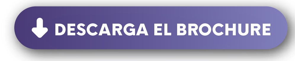 descarga el brochure