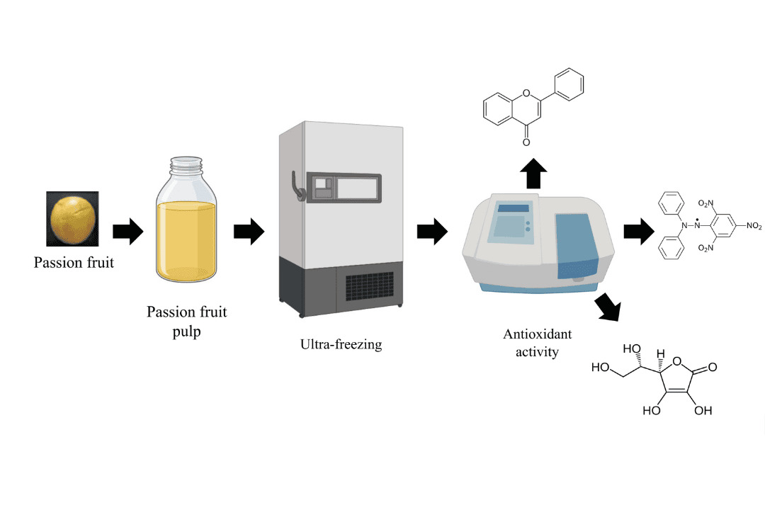 Pulpa de maracuyá más saludable