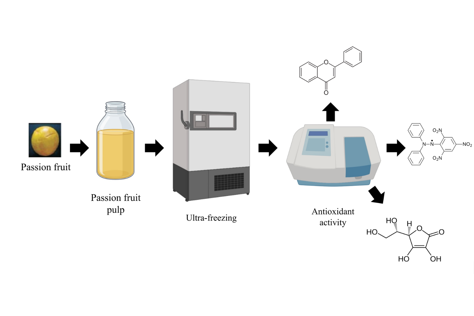 Pulpa de maracuyá más saludable: ultracongelación con nitrógeno líquido permite alimentos con etiqueta limpia en Ecuador