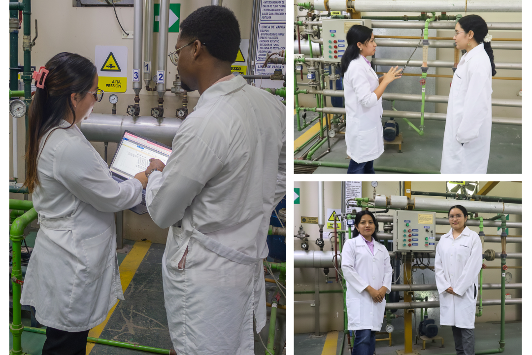 Estudiantes de Ingeniería Química trabajando en proyecto...