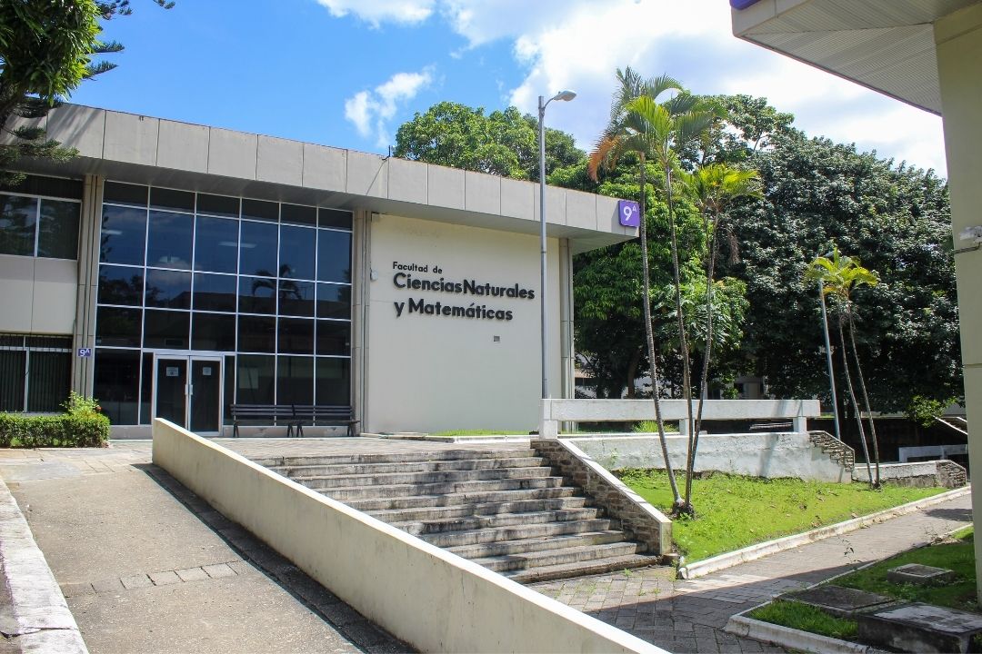 ayudantias