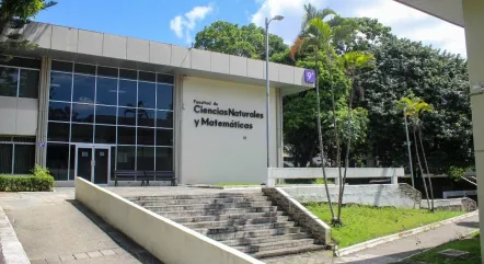 ayudantias